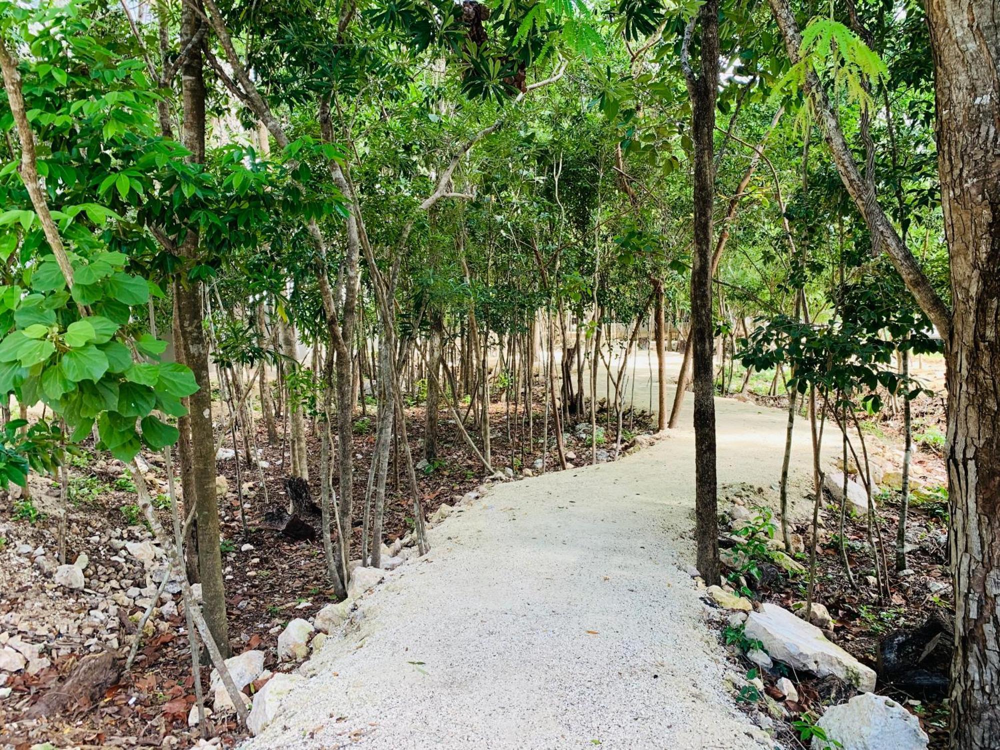 Apartamento Gran Dpto De Lujo Playa *